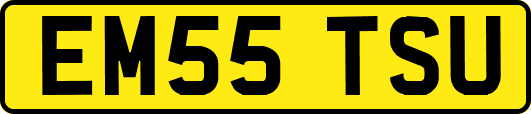 EM55TSU