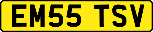EM55TSV