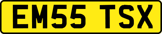 EM55TSX