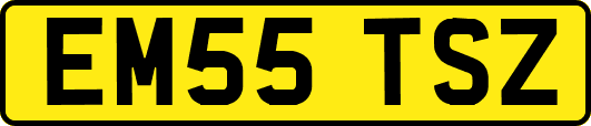 EM55TSZ