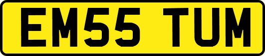 EM55TUM