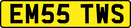 EM55TWS