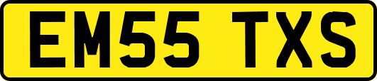 EM55TXS