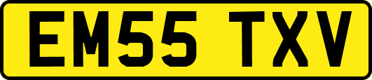 EM55TXV