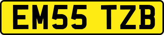 EM55TZB
