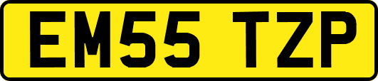 EM55TZP
