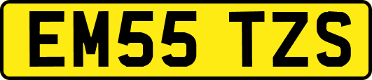 EM55TZS