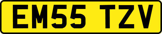 EM55TZV