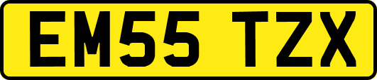 EM55TZX