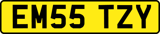 EM55TZY