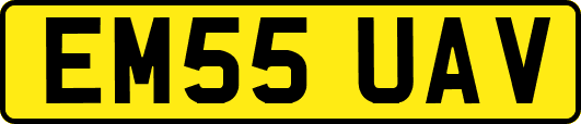 EM55UAV
