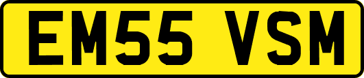 EM55VSM