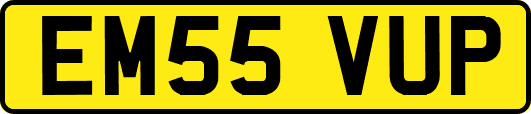 EM55VUP