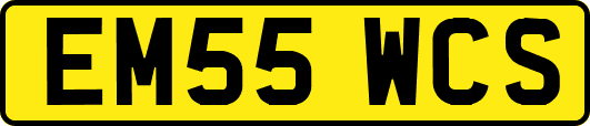 EM55WCS