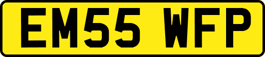 EM55WFP