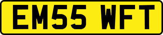 EM55WFT
