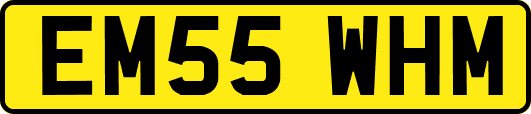 EM55WHM
