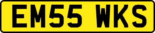 EM55WKS