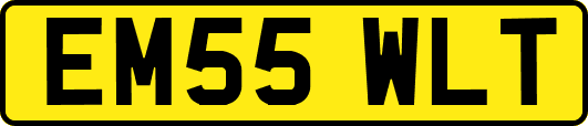 EM55WLT