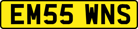 EM55WNS