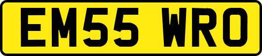 EM55WRO