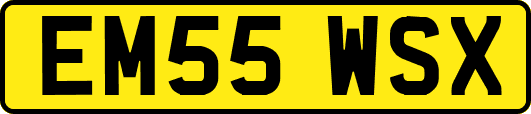 EM55WSX