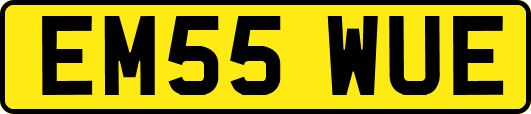 EM55WUE