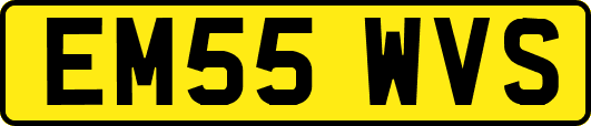 EM55WVS
