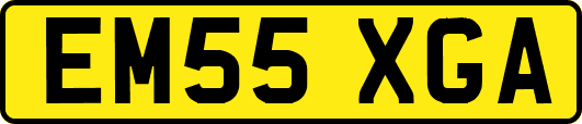 EM55XGA