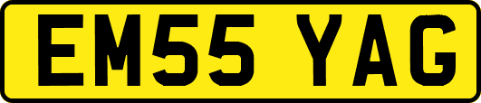 EM55YAG