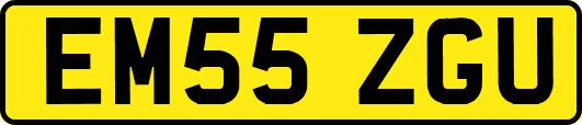 EM55ZGU