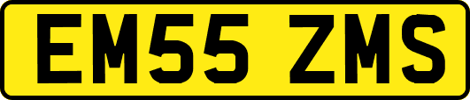 EM55ZMS