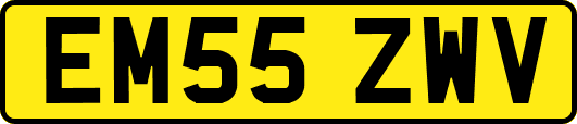 EM55ZWV