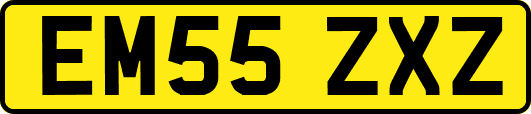 EM55ZXZ