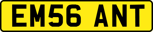 EM56ANT