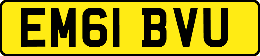 EM61BVU