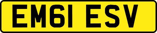 EM61ESV