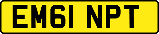 EM61NPT