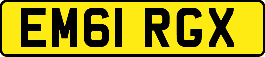 EM61RGX