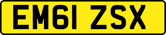EM61ZSX
