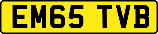 EM65TVB