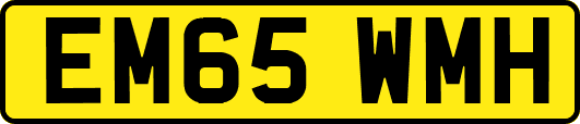 EM65WMH
