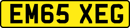 EM65XEG