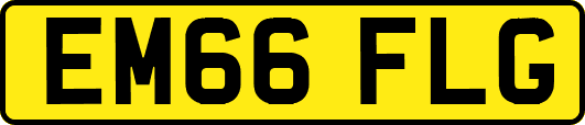 EM66FLG
