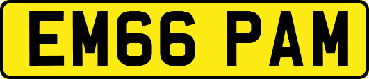 EM66PAM
