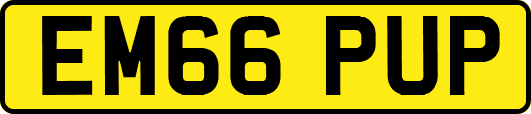 EM66PUP