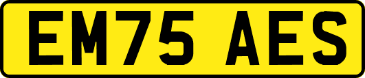 EM75AES