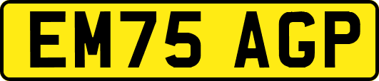 EM75AGP