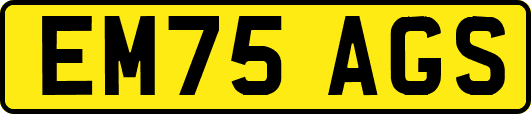 EM75AGS