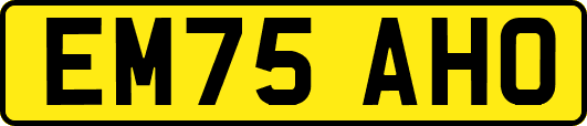 EM75AHO